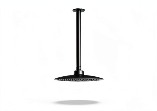 Anpean Shower Arm Stainless Steel Ceiling Mount Modern-2